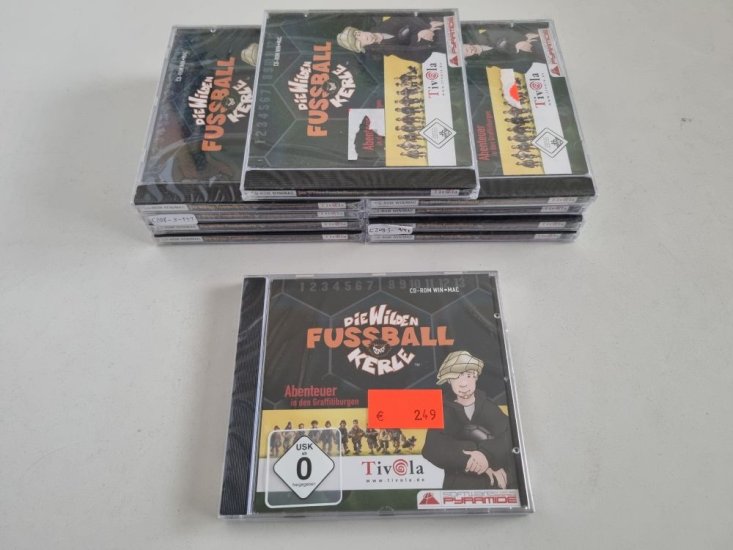 (Bild für) PC Die wilden Fussball Kerle - Abenteuer in den Graffitiburgen - zum Schließen ins Bild klicken