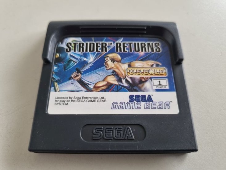 (Bild für) GG Strider Returns - zum Schließen ins Bild klicken