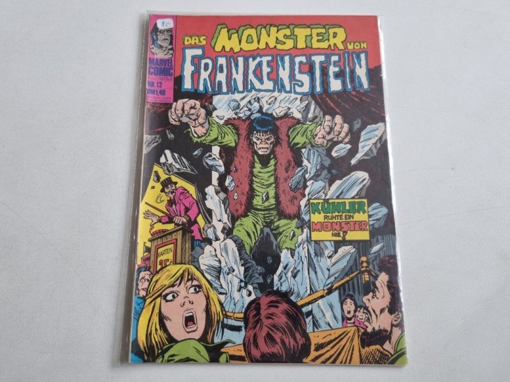 (Bild für) Das Monster von Frankenstein - 12 - zum Schließen ins Bild klicken