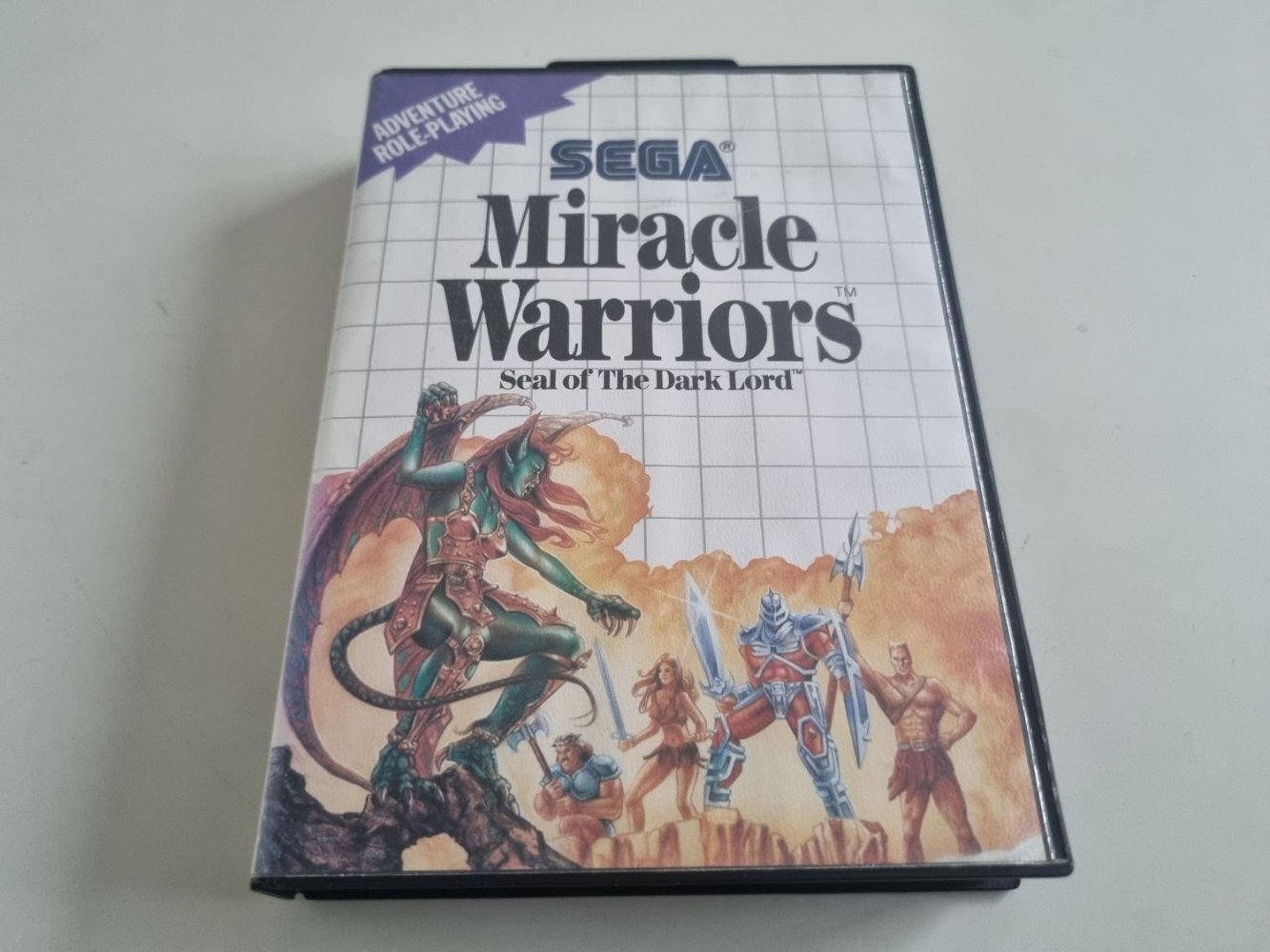 (Bild für) MS Miracle Warriors - Seal of the Dark Lord - zum Schließen ins Bild klicken