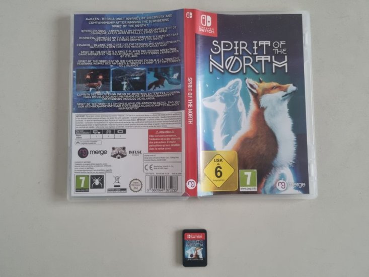 (Bild für) Switch Spirit of the North EUR - zum Schließen ins Bild klicken