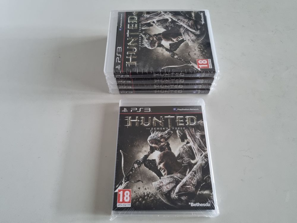 (Bild für) PS3 Hunted - The Demon's Forge - zum Schließen ins Bild klicken
