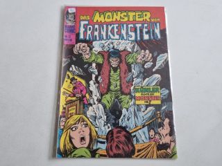 Das Monster von Frankenstein - 12