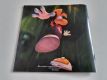 (Bild für) PS1 Rayman 2 - The Great Escape