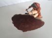 (Bild für) Veronese Figur 1997 - Kriegerin
