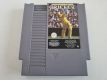 (Bild für) NES International Cricket AUS